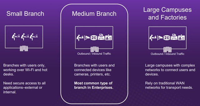 Different Types of Branches