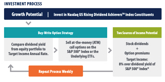 RDVI Investment Process